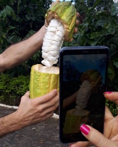 turismo fotos Fabiola Paes Leme (7)