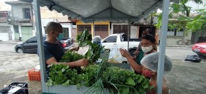 mlheres agri fam (4)