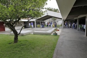gandu 5