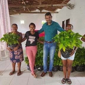 Agricultoras em Laje, onde foram entregues 10 mil mudas de cacau