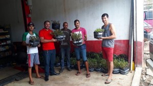 Agricultores de Mirante receberam 10 mil mudas de mandioca