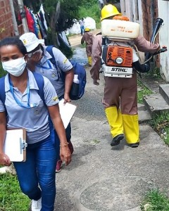 dengue (1)