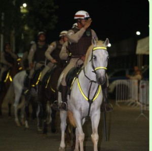 1396A223-3044-4930-92B1-462168045524