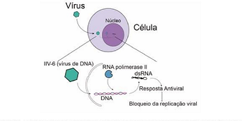 RNA viral